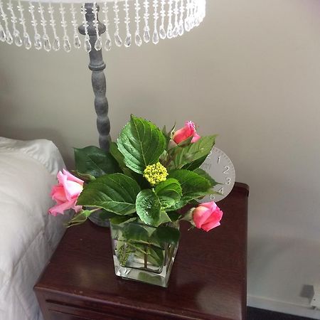 ماتاماتا Firth Street Mews B&B المظهر الخارجي الصورة