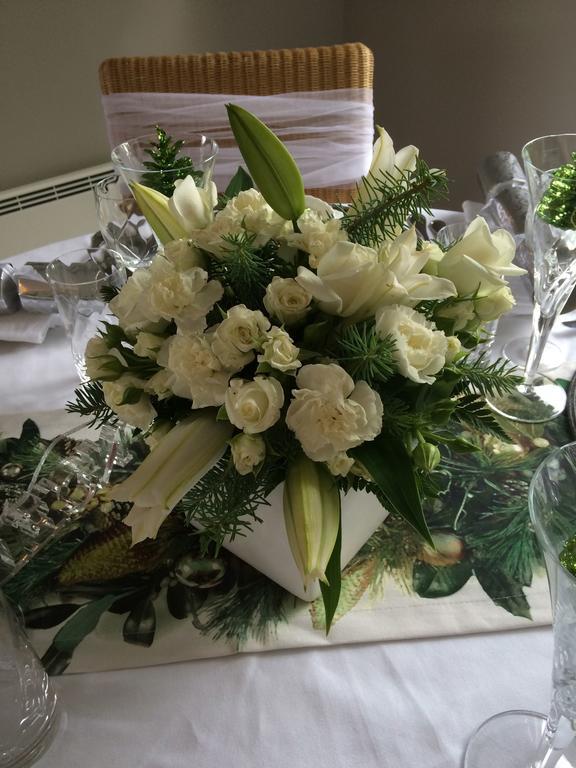 ماتاماتا Firth Street Mews B&B المظهر الخارجي الصورة