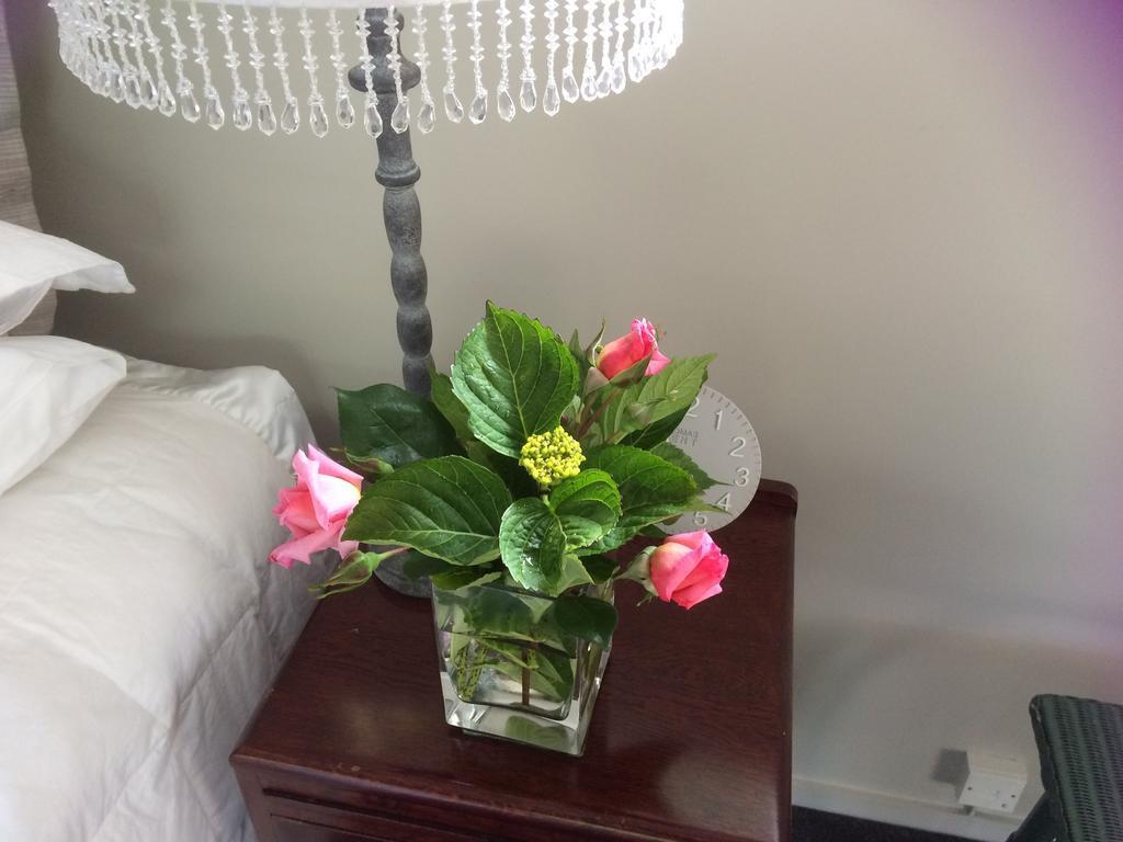 ماتاماتا Firth Street Mews B&B المظهر الخارجي الصورة